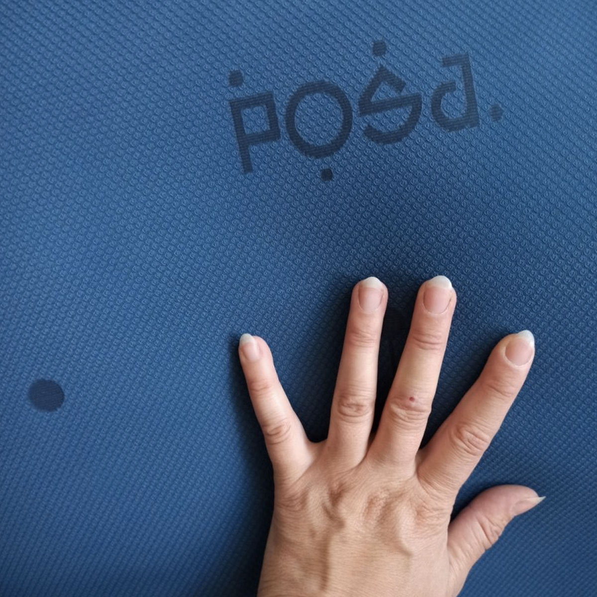 Align Indigo Line
