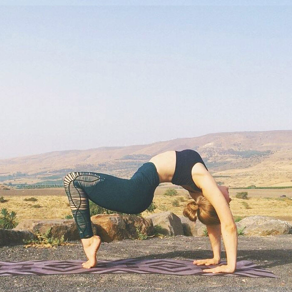 Asana Travel Quadrum